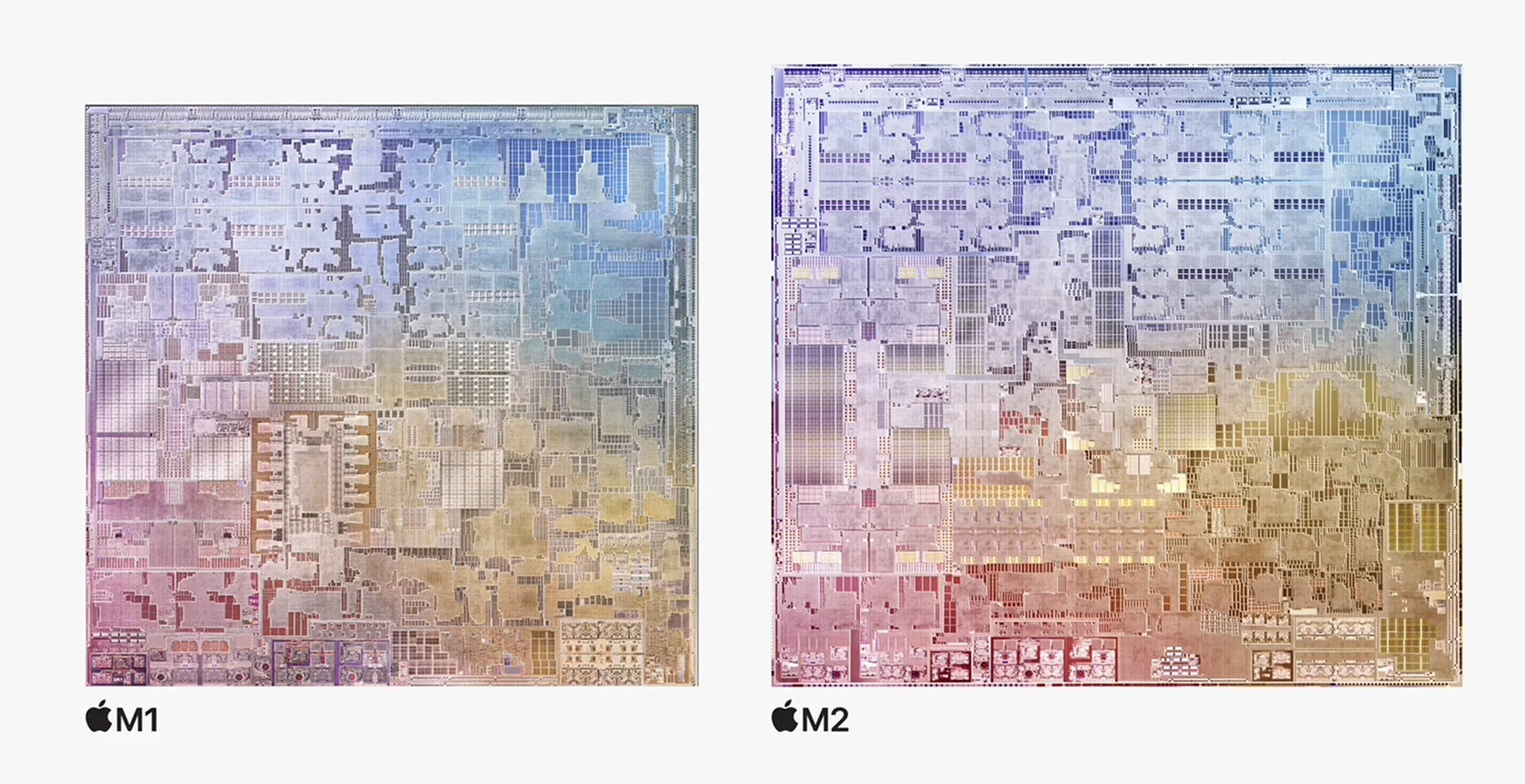 Apple M1 + M2.